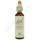 Bach Flower Remedies for Animals - Sweet Chestnut